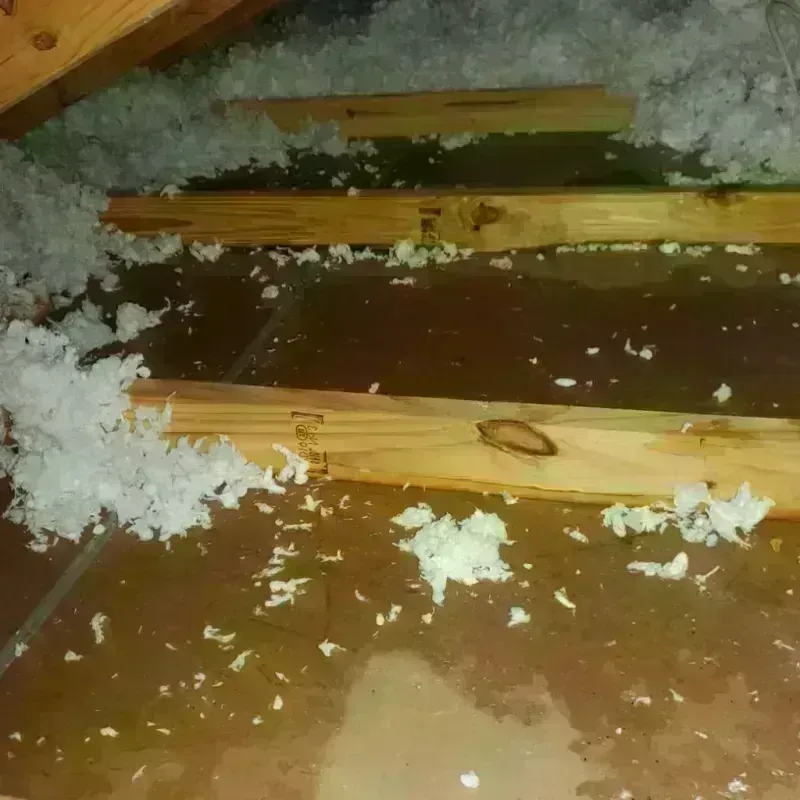 Attic Water Damage in Baldwin, LA